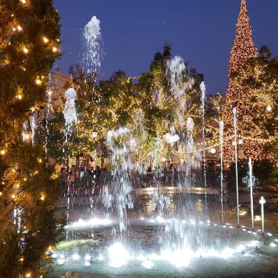 Christmas time at the Grove