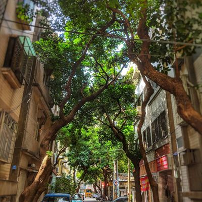 Walking the streets of Taiwan